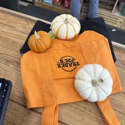 Trader Joes Halloween Mini Tote