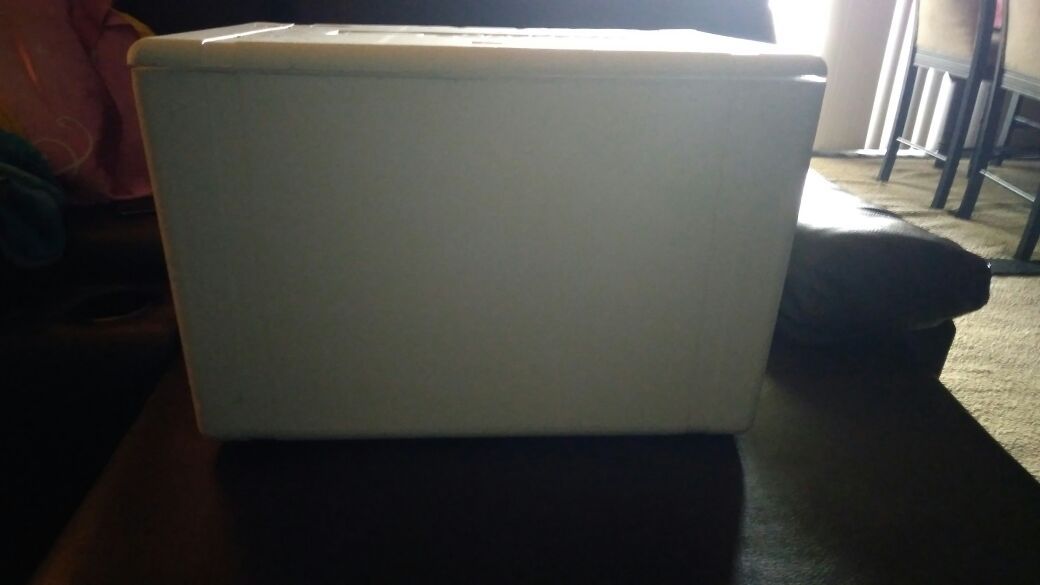 Sturdy Styrofoam Cooler for Sale in Union City, CA - OfferUp