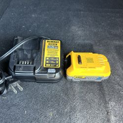 Dewalt 20v Battery & Charger 