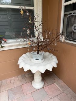 Hermoso árbol