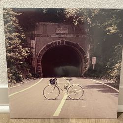 The Backseat Lovers When We Were Friends Colored Galaxy Vinyl Record LP 