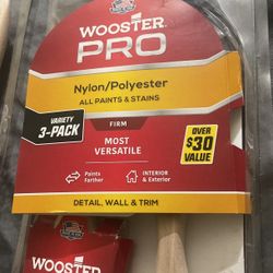 Woodster Pro Paint Brushes