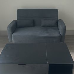 Loveseat + Black Coffee Table