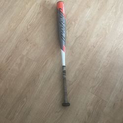 Easton Bat