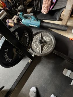 Nautilus Weight Plates