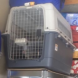 Large Dog 🐕 Kennel 