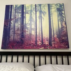 Forest Canvas Picture 
