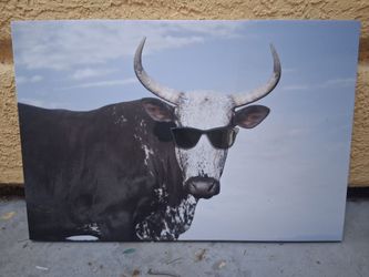 Wall Art(Bull with Sunglasses)