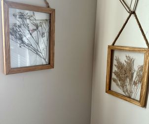 Frames 