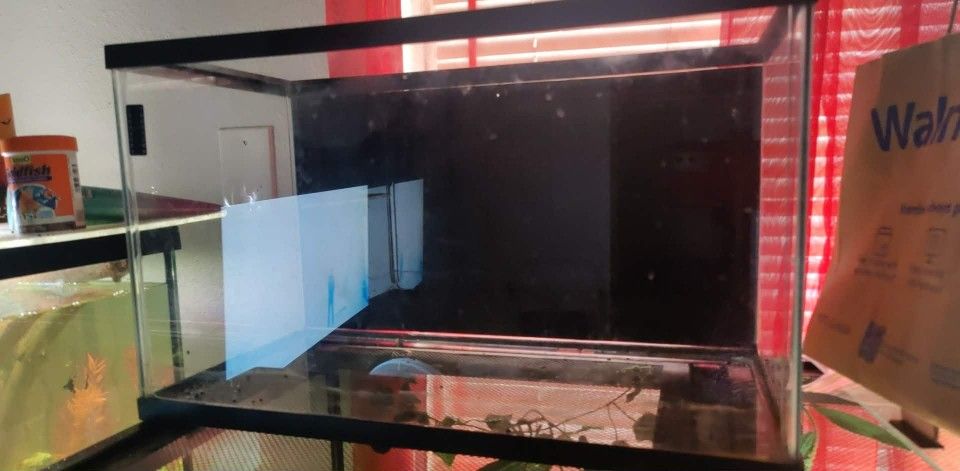 10 Gallon Tank With A Half Glass Lid