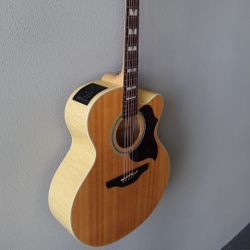 Takamine 6 String