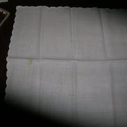 One 18" x 19" Napkin or Place Mat ( 1 small stain)