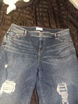 Women's size 20 lane byrant