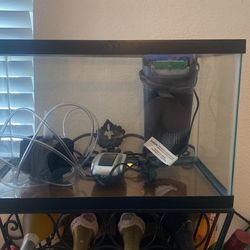 Fish Tank 20 Gallons 