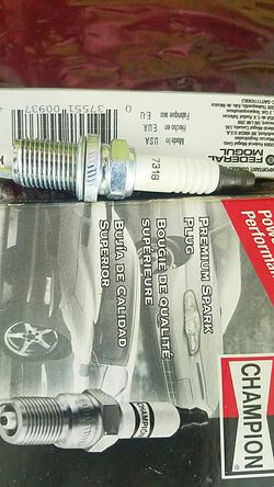 8 Champion double Platinum 7318 sparkplugs.