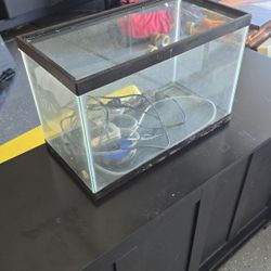 5 Gallon Fish Tank