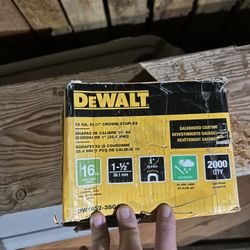 Dewalt Staples