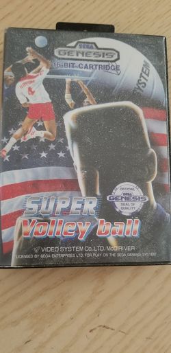 Sega Volleyball Game