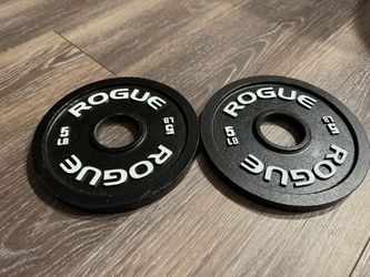 Rogue Fitness Calibrated 5 lb  Steel Plates Pair