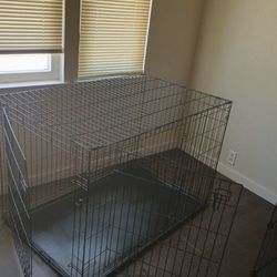 Dog Cage 