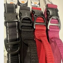 Kong Collar- Great Price 