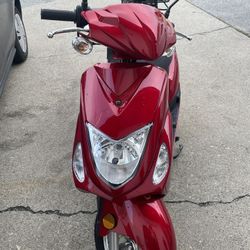 Wolf Rx50