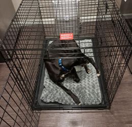 Top Paw 42" Folding Crate