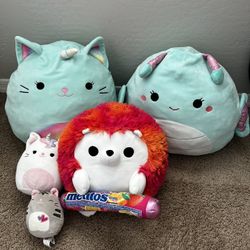 Squishmallow  Bundle