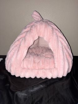 cat bed