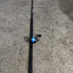 Penn 40 NLD2 & Accurate Rod 