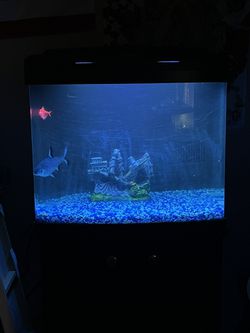 Fish Tank Aquarium Fresh Or Saltwater  Thumbnail