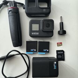 GoPro Hero 8 Black W/ 2 Batteries & Accessories 