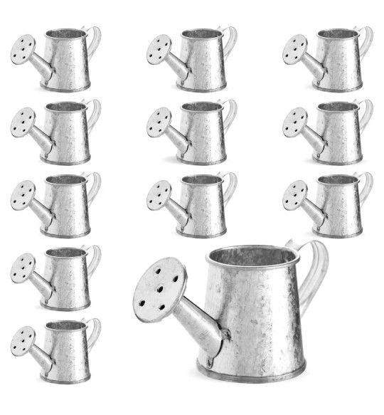 12-Pack Mini Galvanized Watering Can, Decorative Mini Watering Can for Crafts