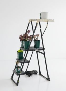 Can Deliver Repurposed 2.5' Step Stool Plant Stand