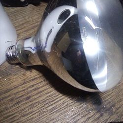 100 Watt Heat Lamp
