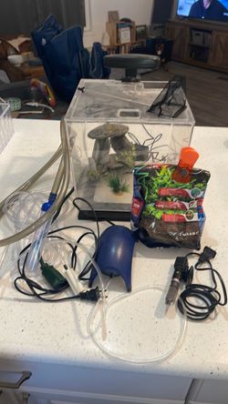 Square fish tank with accessories