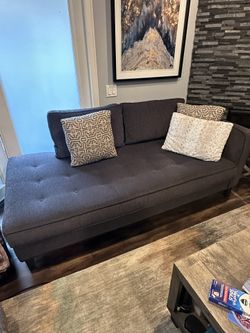 Chaise Lounge Sofa With Cushions