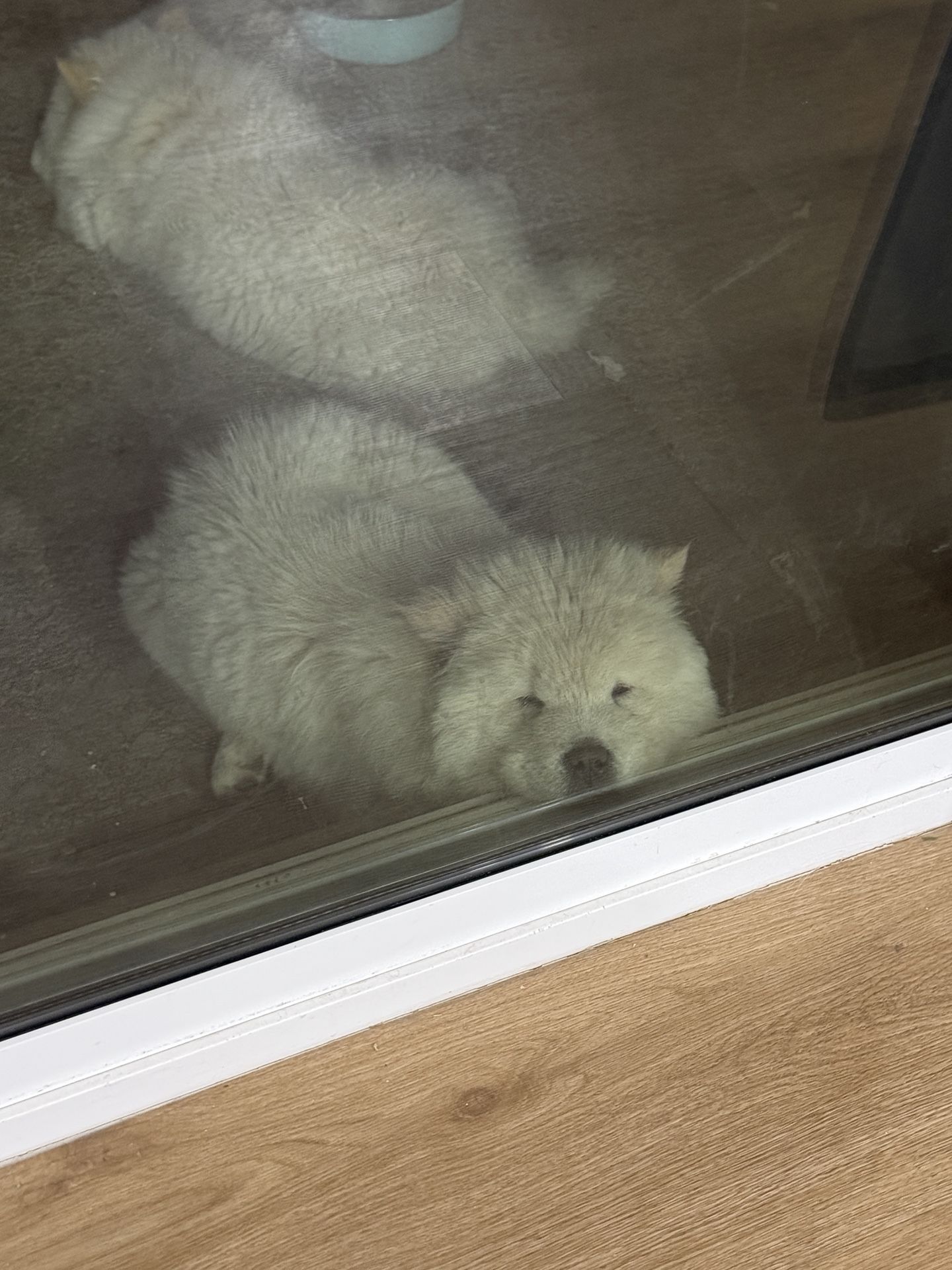 Couch/ Sectional Sofa/ Corduroy With Chaise 