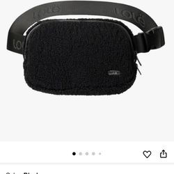 Waist belt Bag