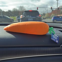 Squishy carrot