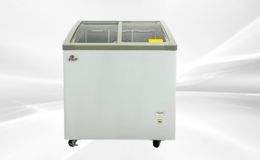NSF 31 ins Ice Cream Glass Freezer 6.7 CU FT SD251S