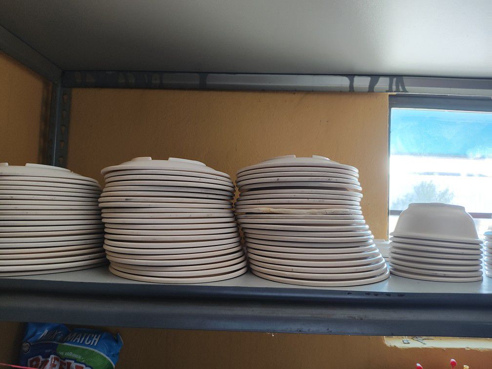 Plates Cups 