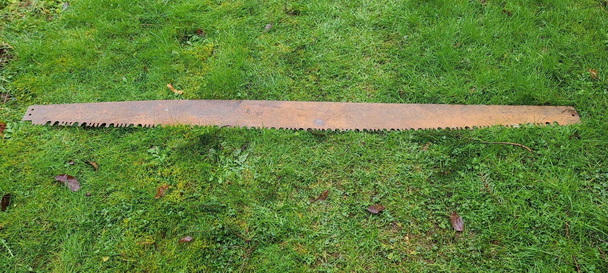 Antique Rustic Crosscut Saw Blade