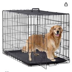Kennel