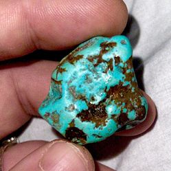 Turquoise 