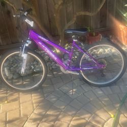 2 Bikes For Sale 