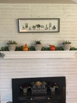 Succulent Wall Decor
