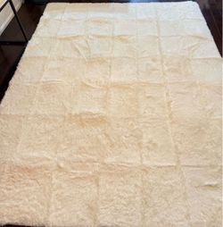 Carpet 8x10 $30