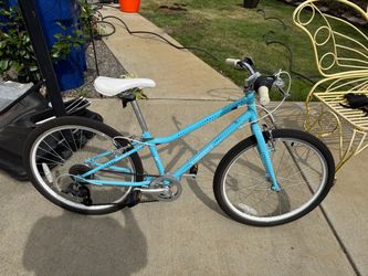 Guardian Ethos 24 bike