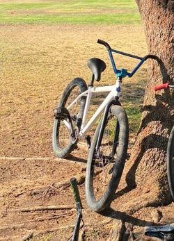 Throne 29er